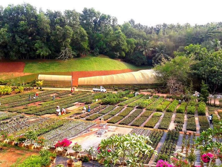 Kuzhipallam Botanical Garden, Thiruvananthapuram, Kerala - Vushii.com Kuzhipallam Botanical Garden, Thiruvananthapuram, Kerala - Vushii.com
